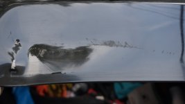 DSC08772.JPG