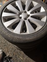 IMG_20231108_204811.jpg