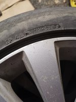 IMG_20231108_204819.jpg